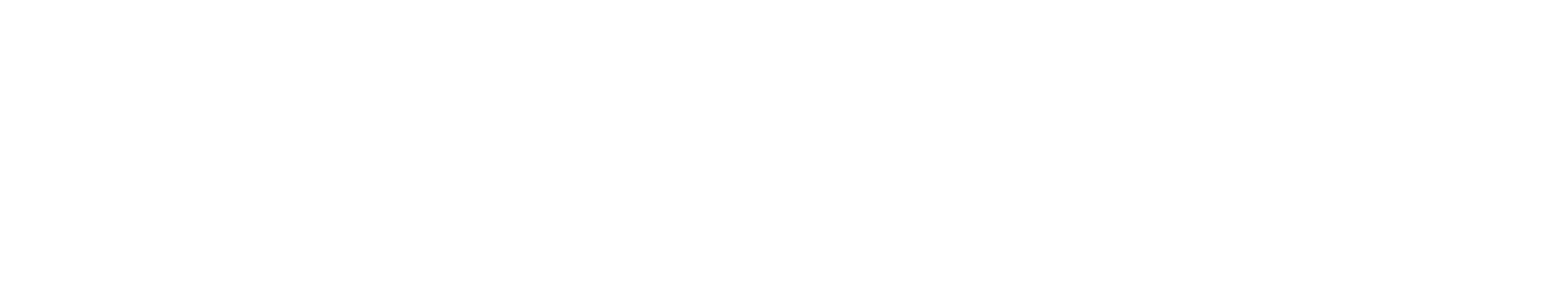 Troika_Logo_Reverse-2