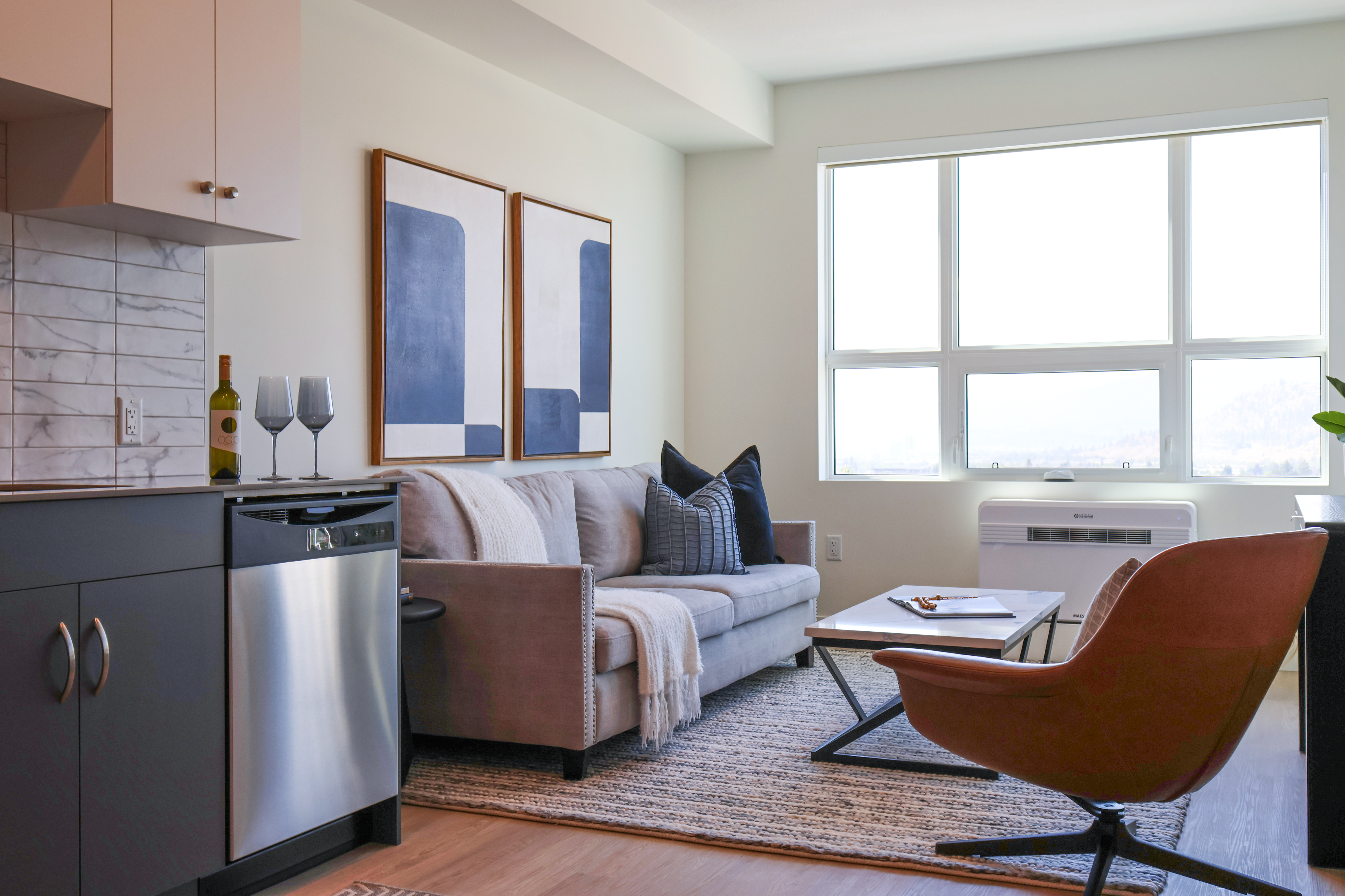 Living Room Window